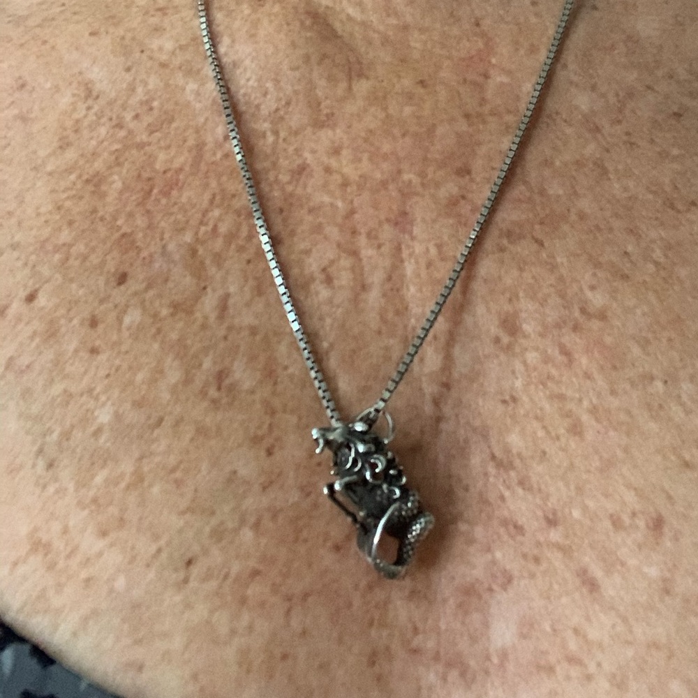 Sterling silver Capricorn zodiac pendant only.